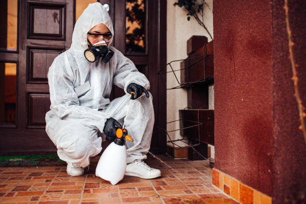 Reliable Cockroach Control contractor in Chalmette, LA by Nex Pest Control